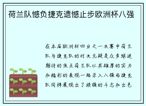 荷兰队憾负捷克遗憾止步欧洲杯八强