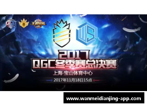 完美电竞官网国羽辉煌收官，总决赛战绩引发热议 - 副本