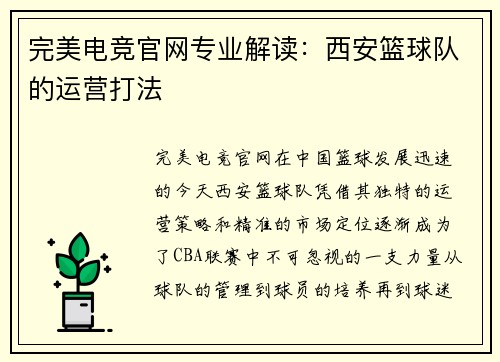 完美电竞官网专业解读：西安篮球队的运营打法